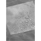 Rikuchu, Transparent