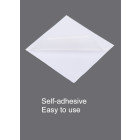 Rikuchu, Transparent